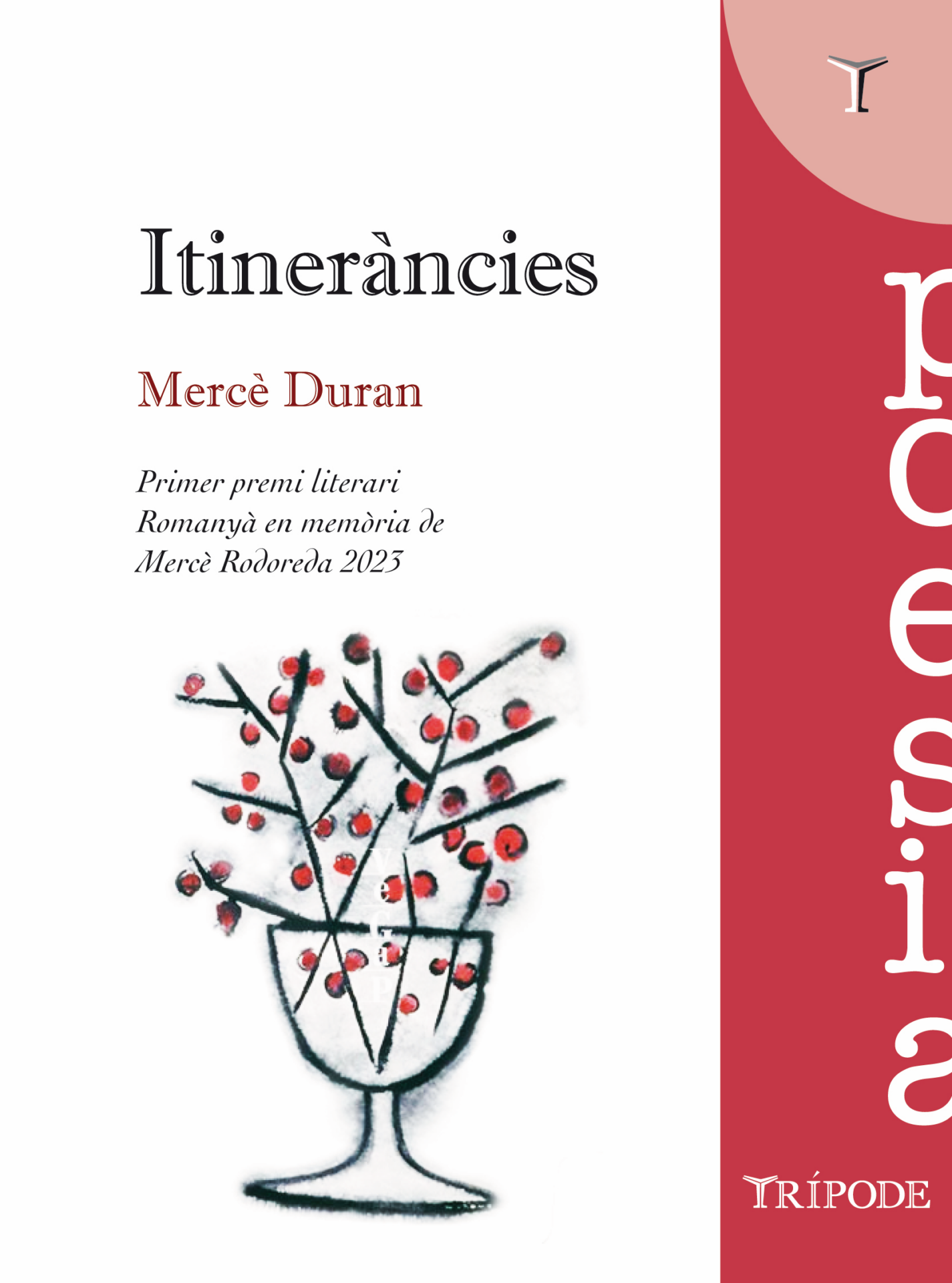 LES ALTRES CARES