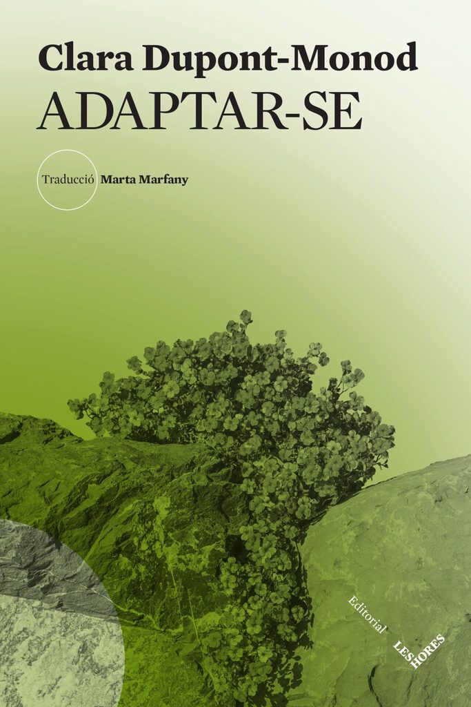 Avatares de un viejo libro