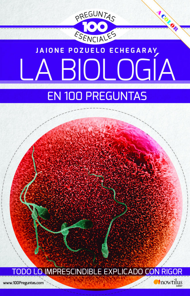 Los derechos reales de goce en cosa ajena (Papel + e-book)