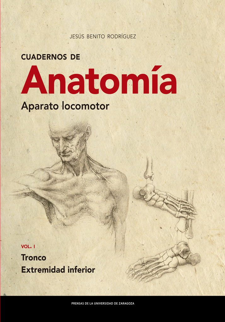 Cuadernos de Anatomía. Aparato locomotor