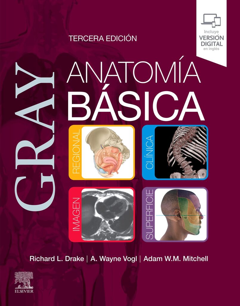 Gray. Anatomía para estudiantes