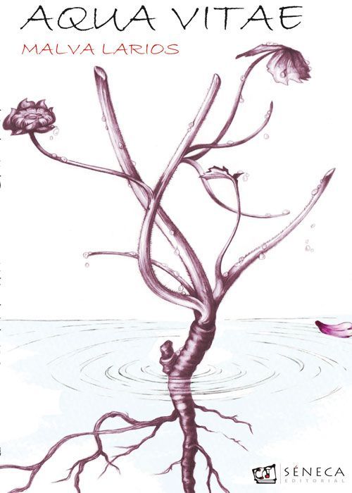 Gabriel y Galán. Poesía