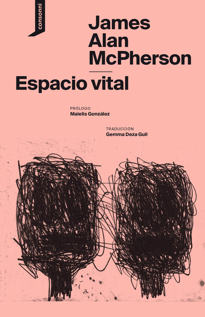 Vínculos