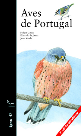 El libro-diorama de las aves
