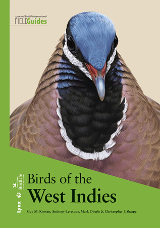 Birds of Japan