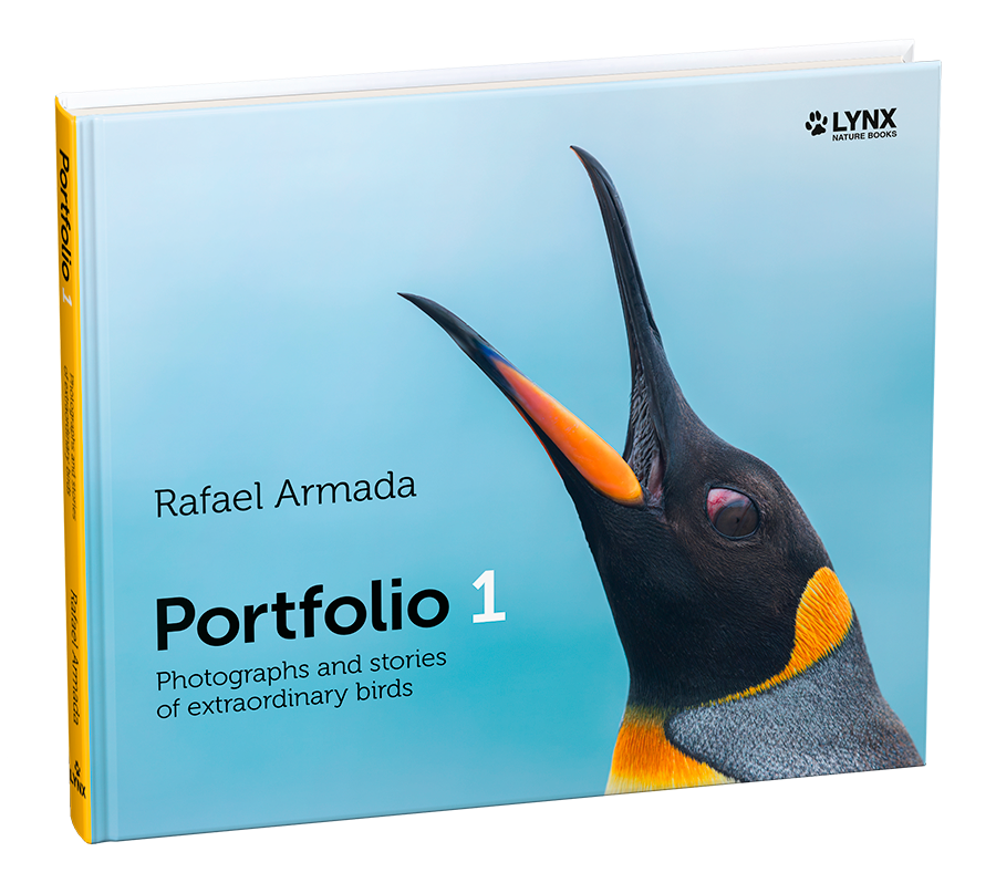 Portfolio 1