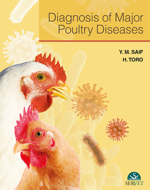 Main challenges in poultry farming. Vaccination failures