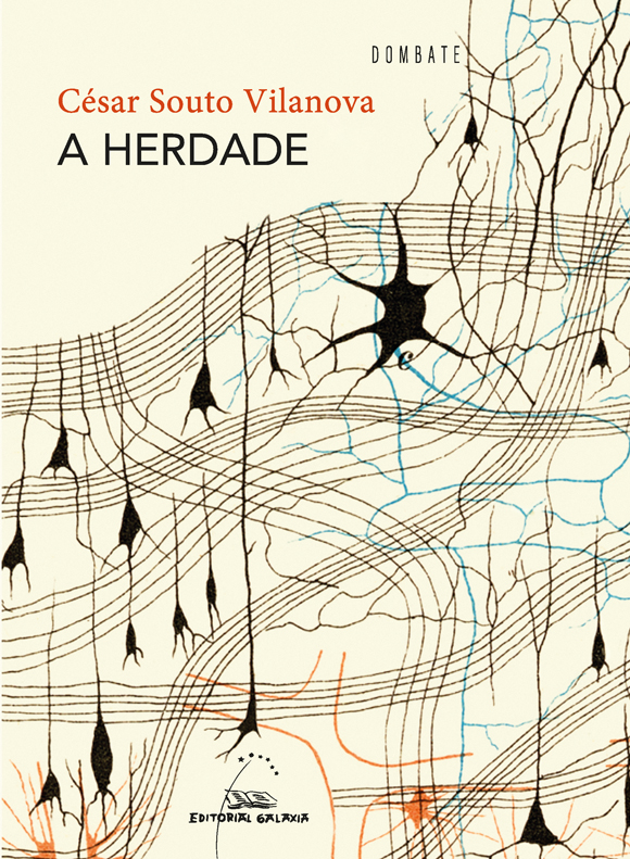 A  abertura da boca