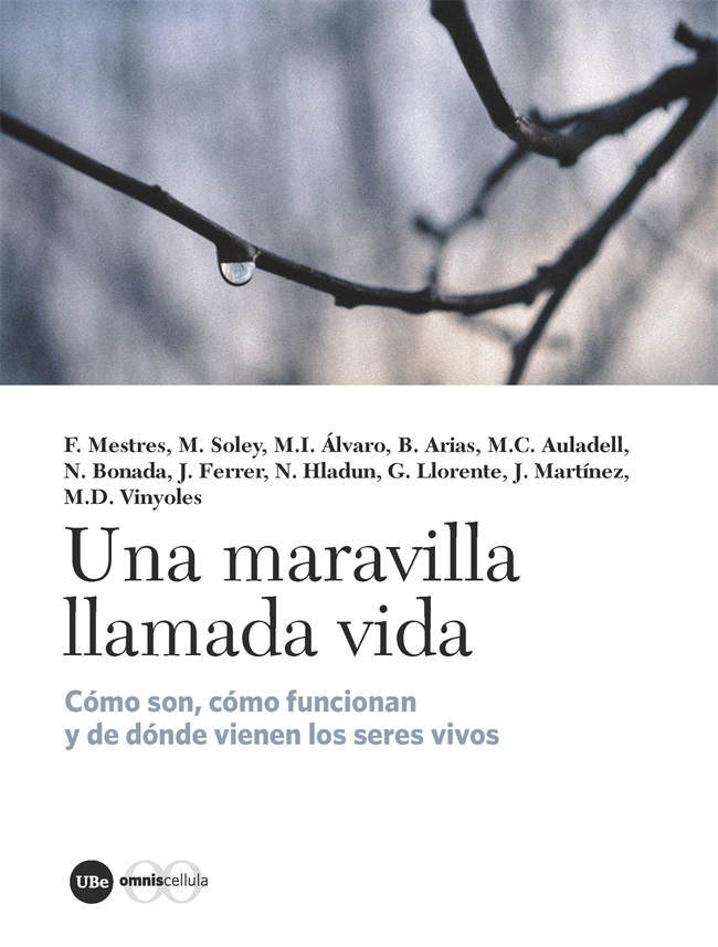 El vessant seriós i tràgic de Woody Allen