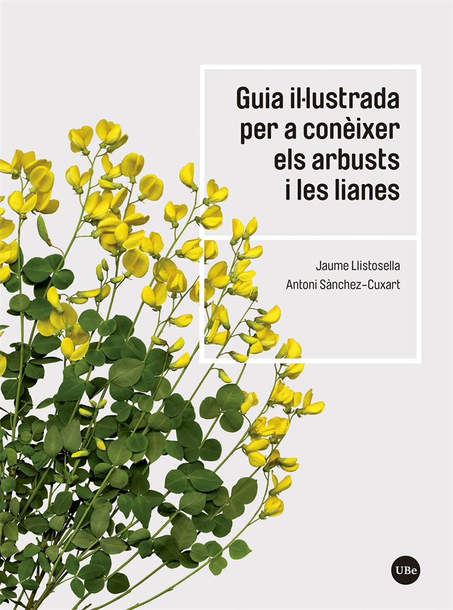 El herbario: matas, hierbas y helechos