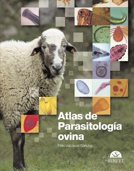 Manejo de heridas y principios de cirugía plástica en pequeños animales