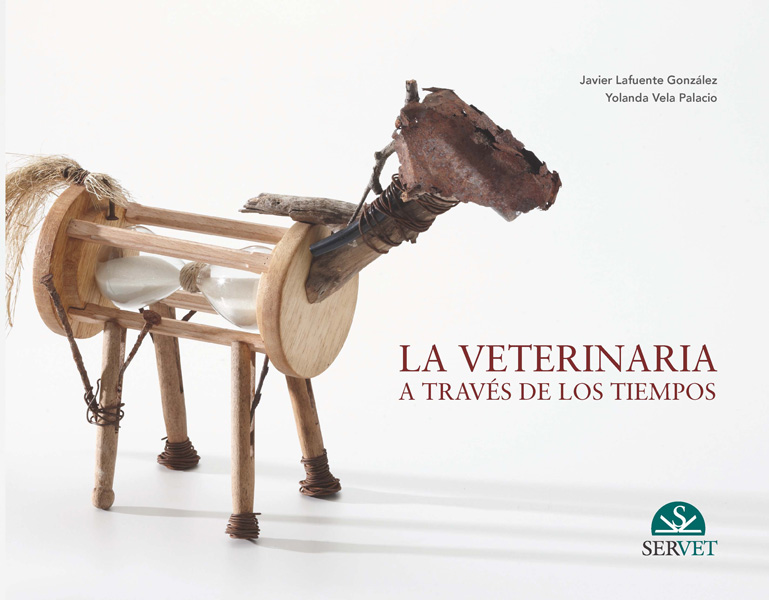 Management solutions for veterinary practices