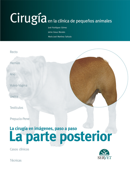 Cirugía en la clínica de pequeños animales. La parte posterior