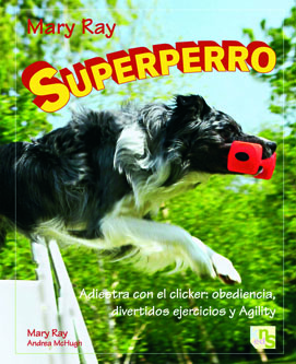 Lindo cachorro