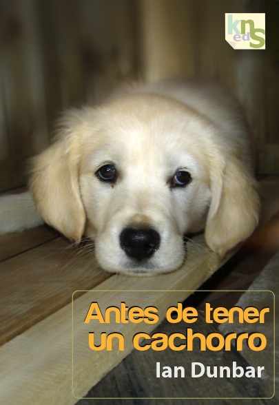 Antes de tener un cachorro Antes de tener un cachorro