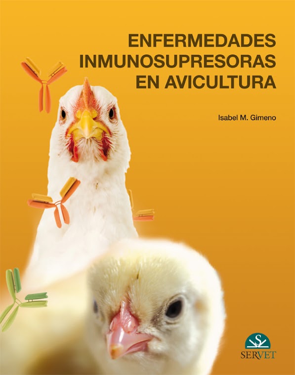 El periparto de la vaca: apuntes prácticos