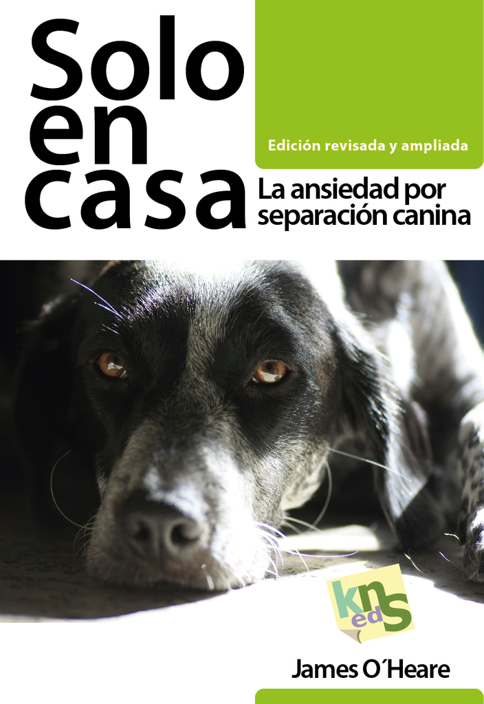 Solo en casa. Edición revisada y ampliada