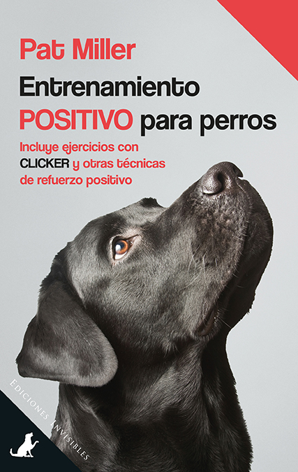 O que fazer quando o meu cão... puxa a trela?