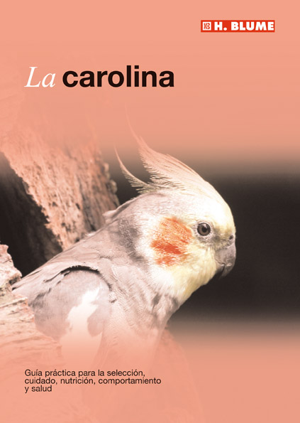 El loro