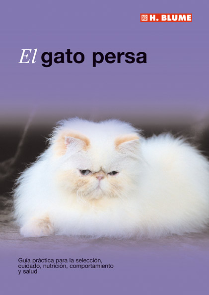 El gato siamés