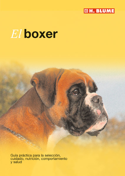 El setter