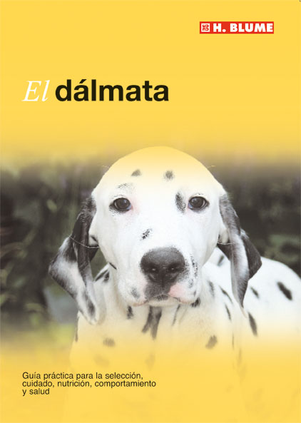 Bulldog inglés