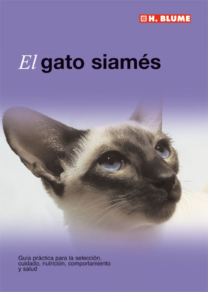 El gato sphynx