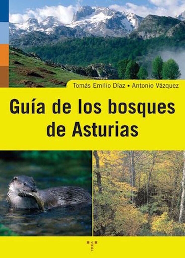 El bosc immobilitzat