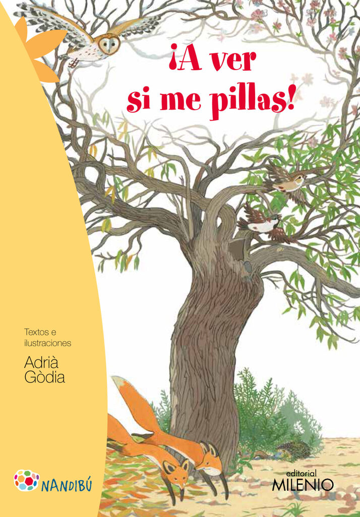 Manual de meditación zen