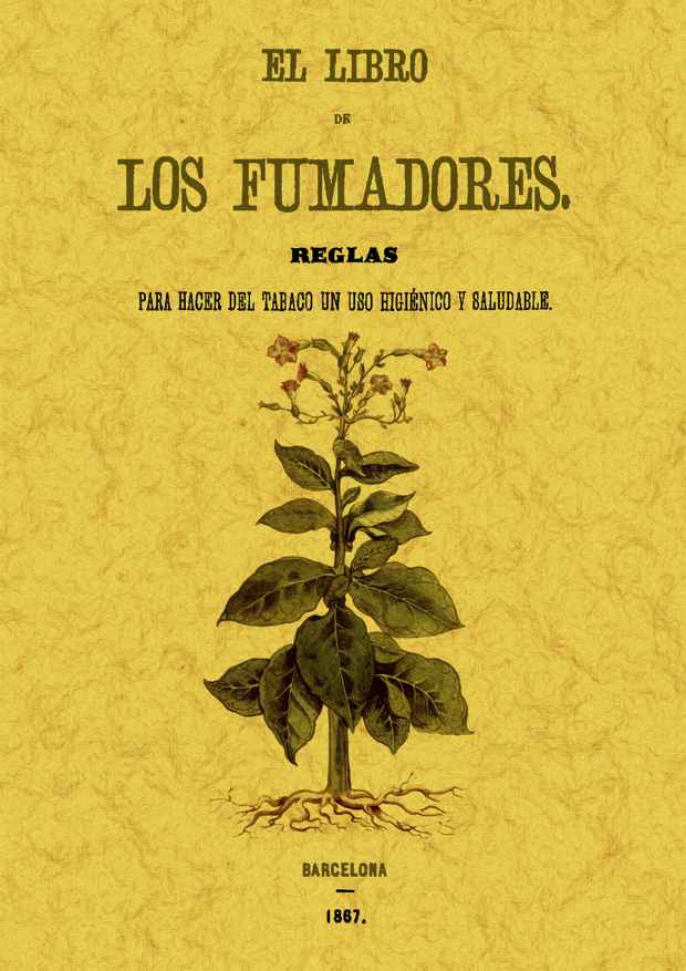 Cómo adelgazar follando