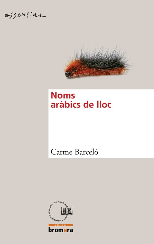 Noms aràbics de lloc