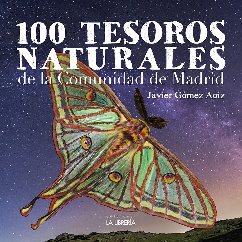Excursiones para niños por la Sierra de Madrid