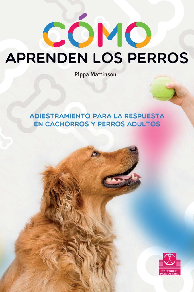 Un perro perfecto en 21 días