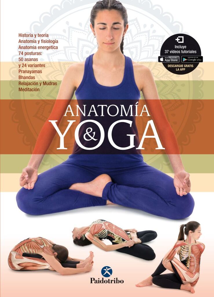 Anatomía