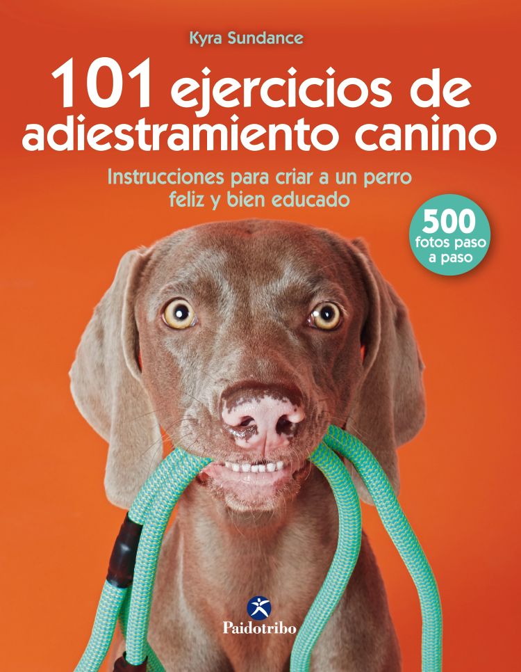 Un perro perfecto en 21 días