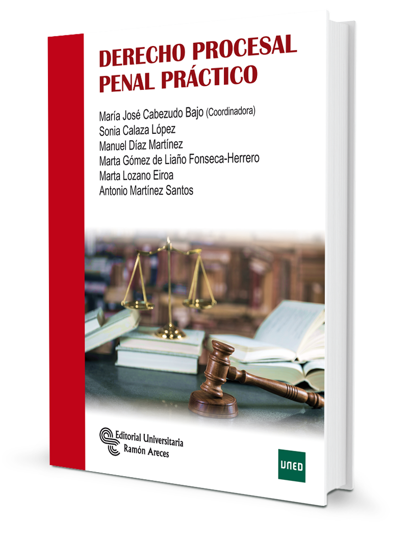 Derecho procesal civil especial práctico