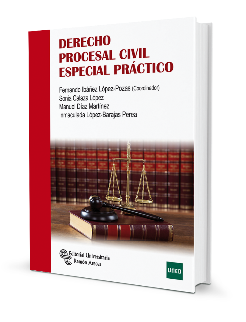 Derecho procesal civil especial práctico