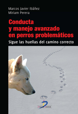 Los hábitos de un Director de Proyectos eficaz