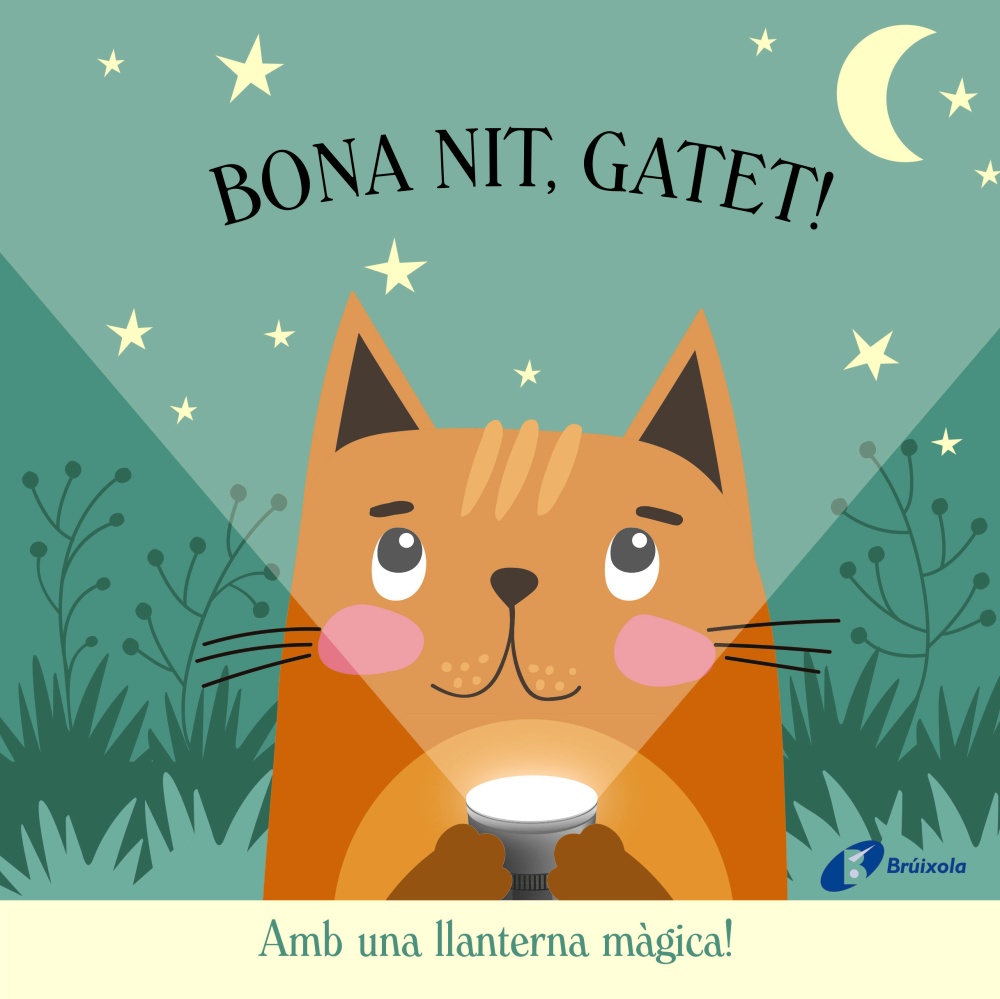 Quadern d'activitats. El Petit Príncep