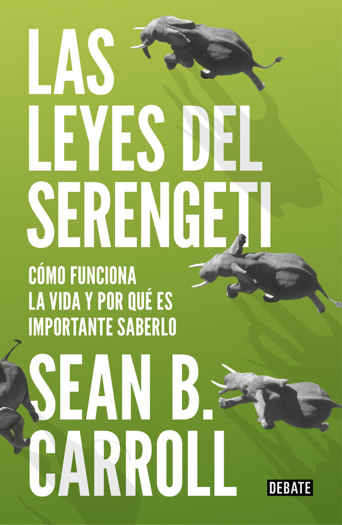 Insectos, anfibios y reptiles