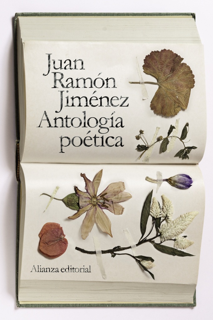 Cartas de las heroínas