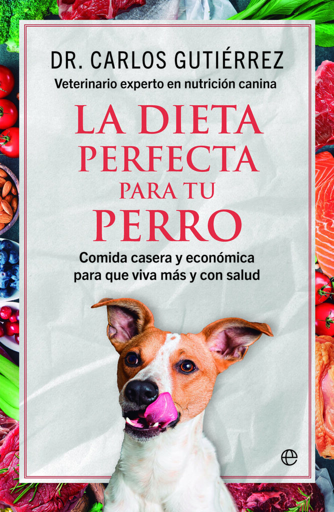 Solo es un perro