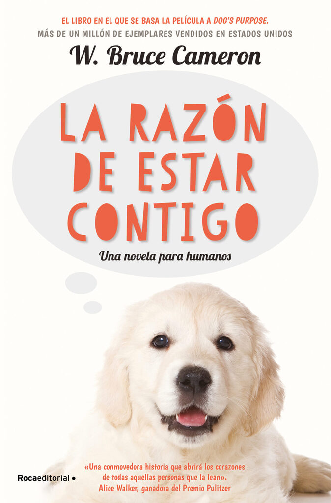 Serendipia en la cocina