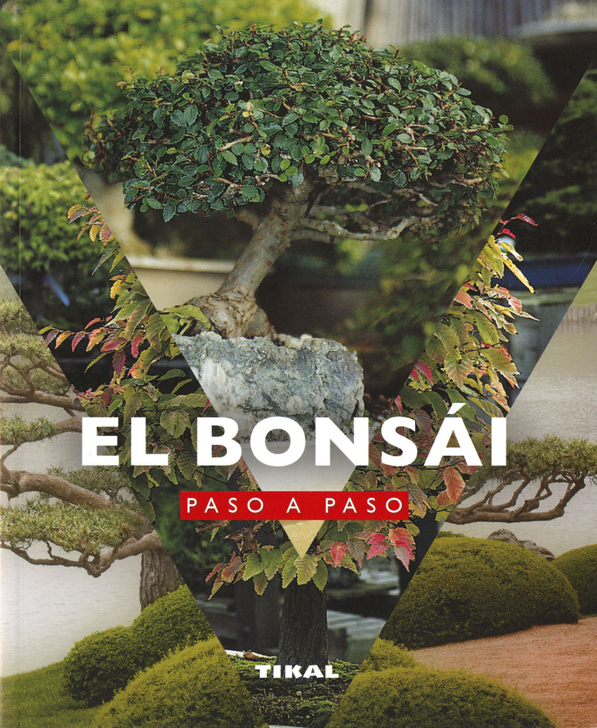 El Arte del Bonsái