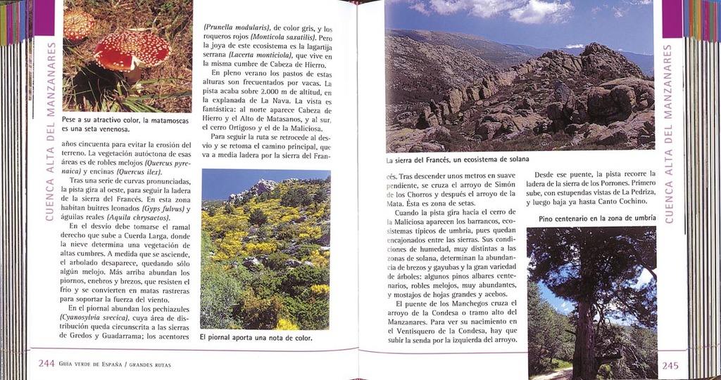 Guía verde de España. Grandes rutas Guía verde de España. Grandes rutas