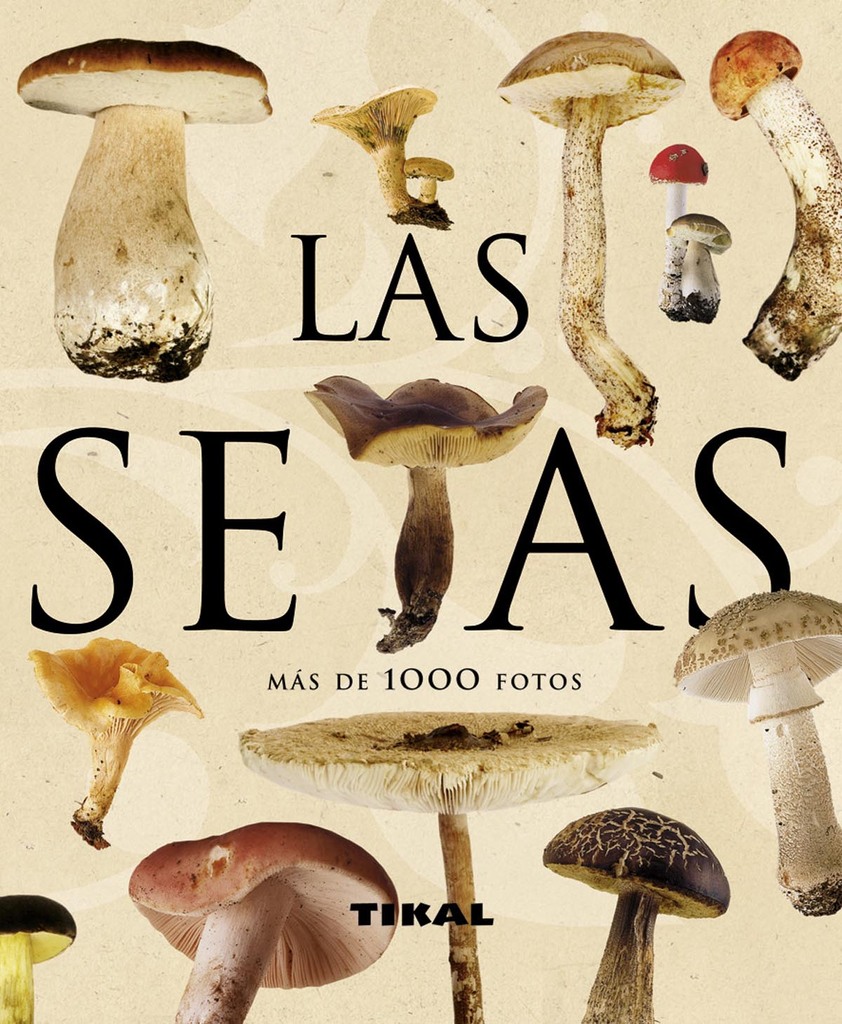 Las setas de la Serranía de Ronda