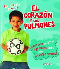El corazón y los pulmones