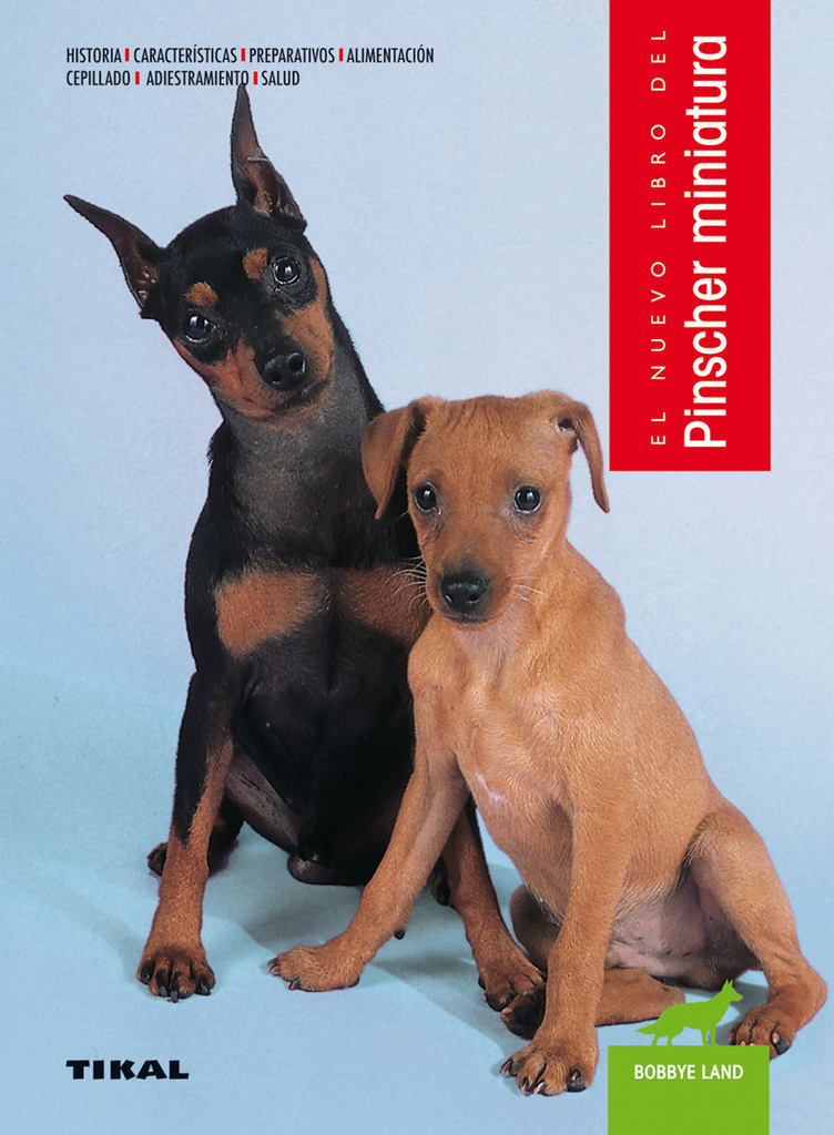 Jack russell terrier y parson russell terrier