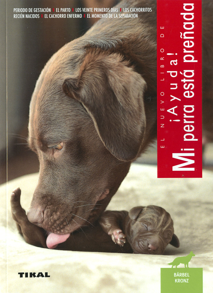 Perro de agua español