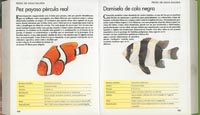 Mascotas Mascotas